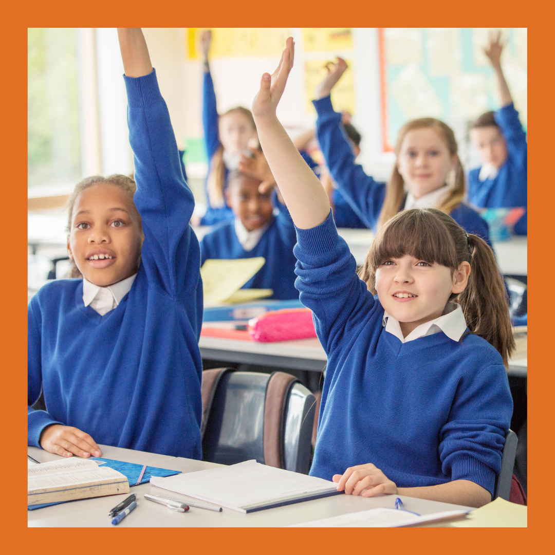 Primary school pupils raising hands in classroom